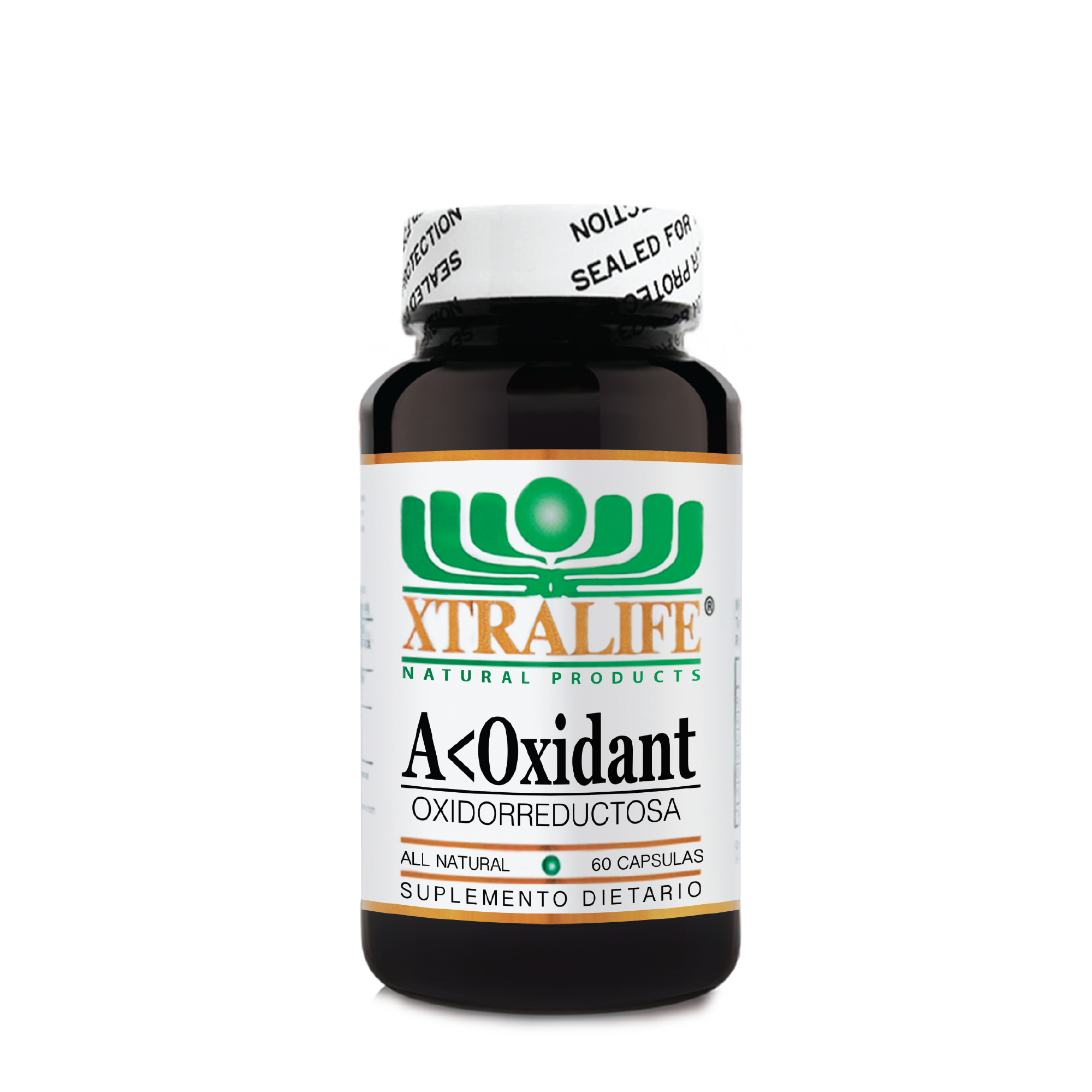 ANTIOXIDANTX60CAP_2048x2048_dde5a2e5-2809-45e3-b09f-925e87640a7f.png